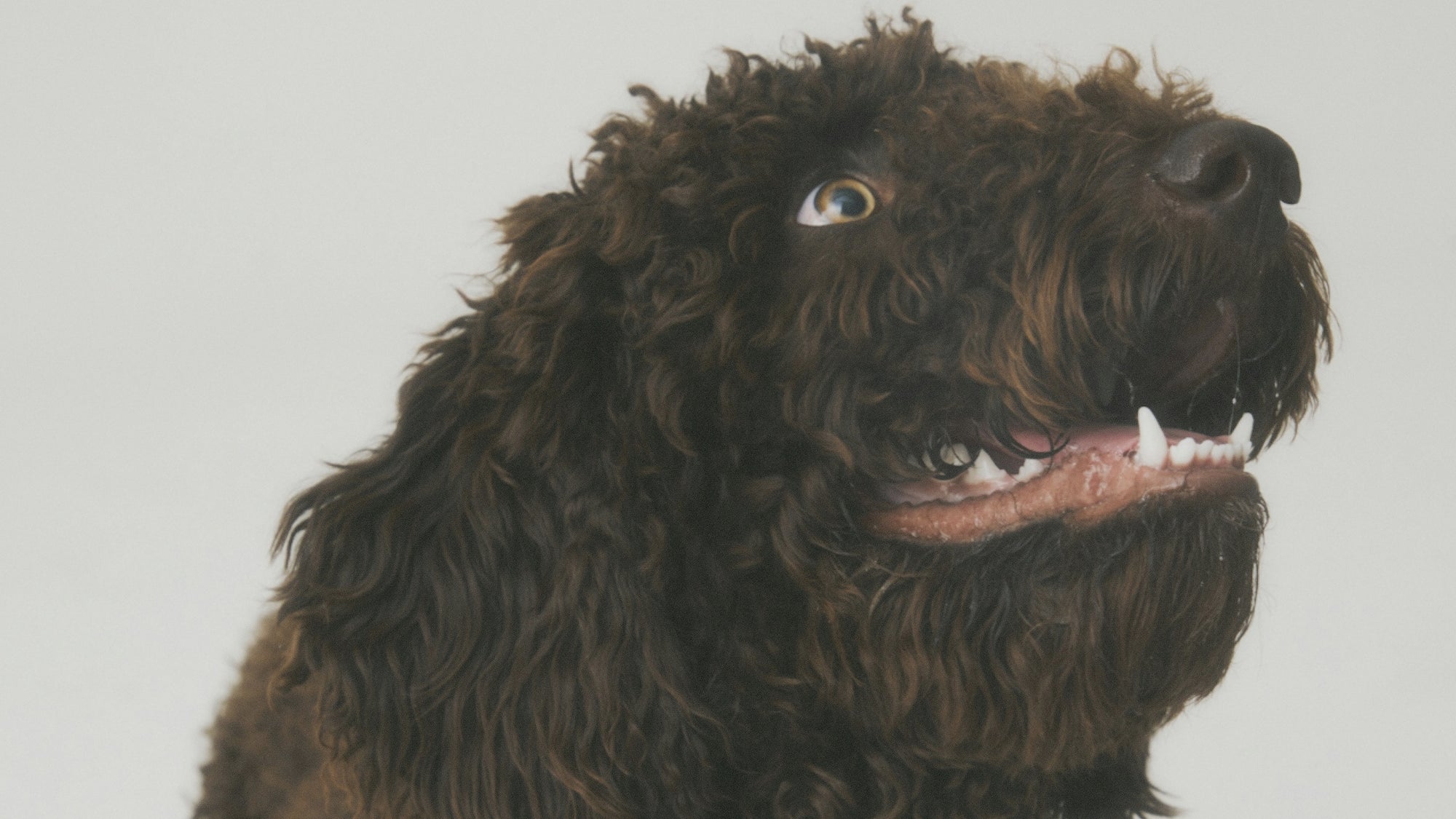 For more years together.