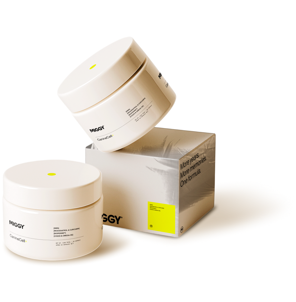 IMAGE-PRODUCT_ec17f415-a0d6-4525-825e-e1c9d97a77e5.png